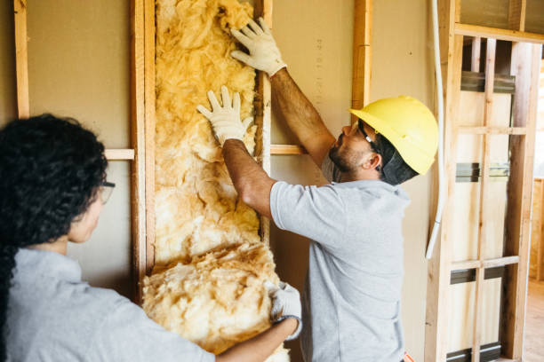 Best Attic Insulation Installation  in Slinger, WI