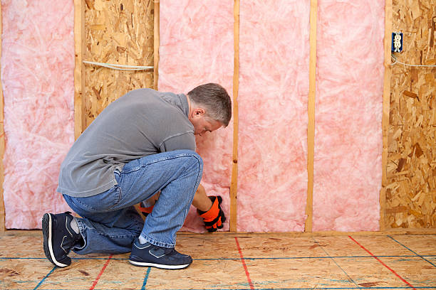 Best Insulation Removal Services  in Slinger, WI