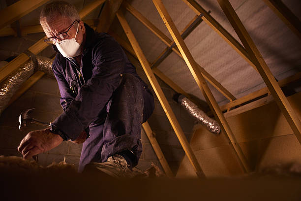 Best Professional Insulation Contractor  in Slinger, WI
