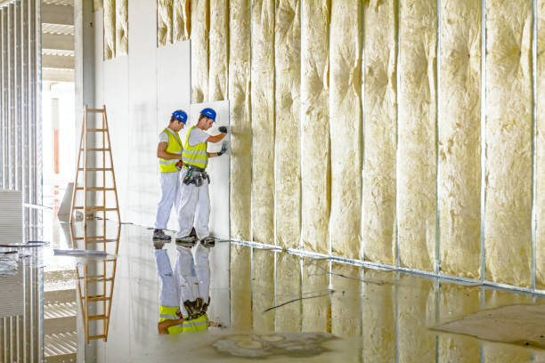 Best Cellulose Insulation  in Slinger, WI